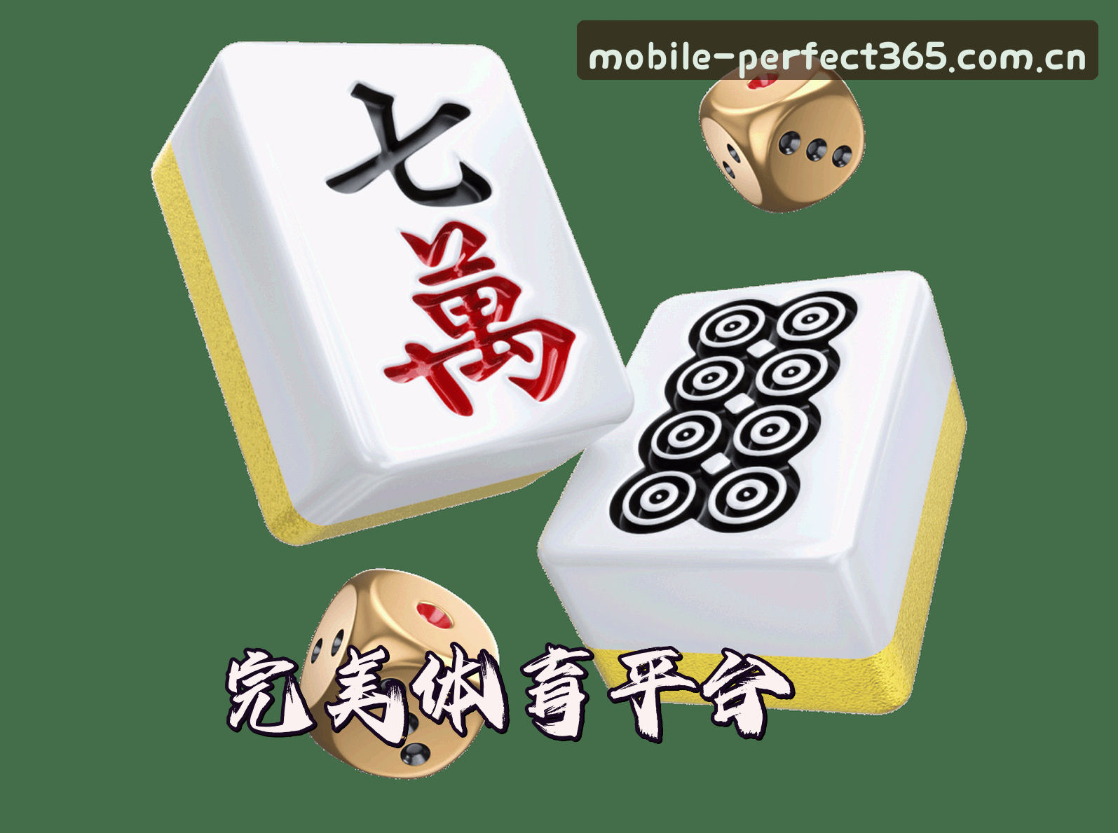 365wm完美体育官方网站